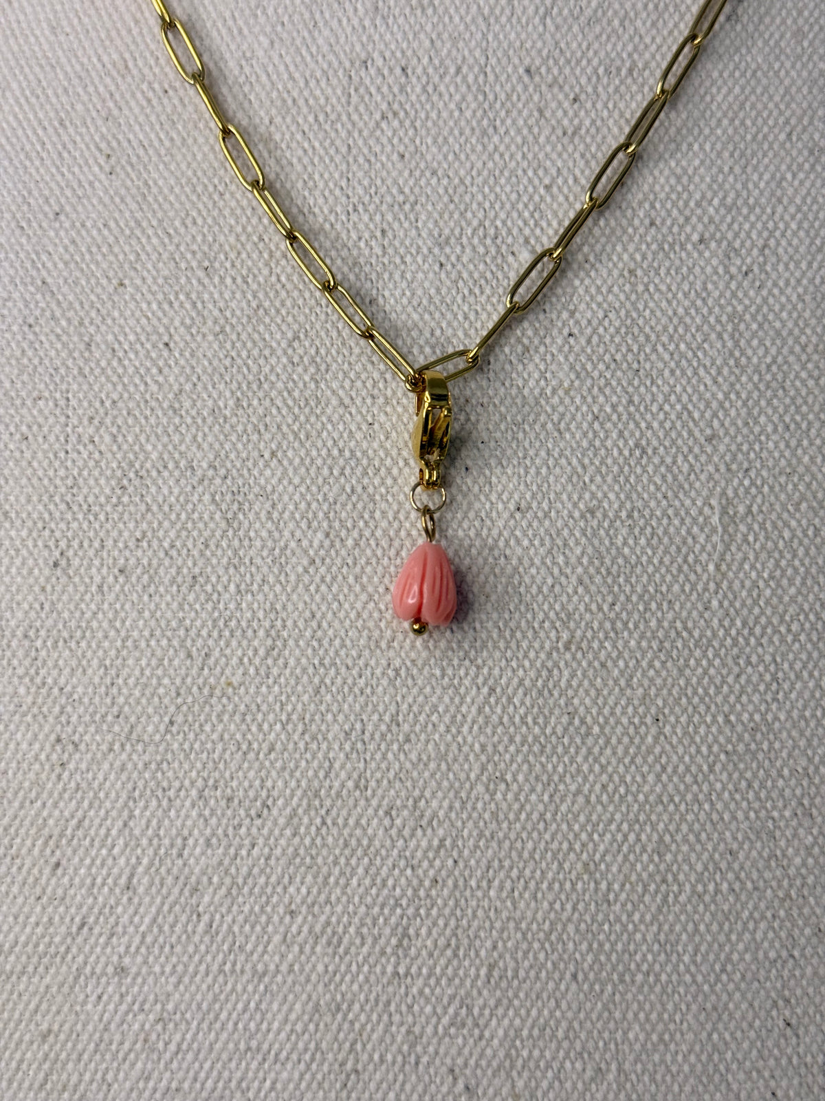 CHARMS DE CORAL - La Pampa Triana